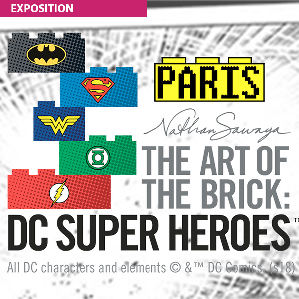 The art of the brick : DC super heroes